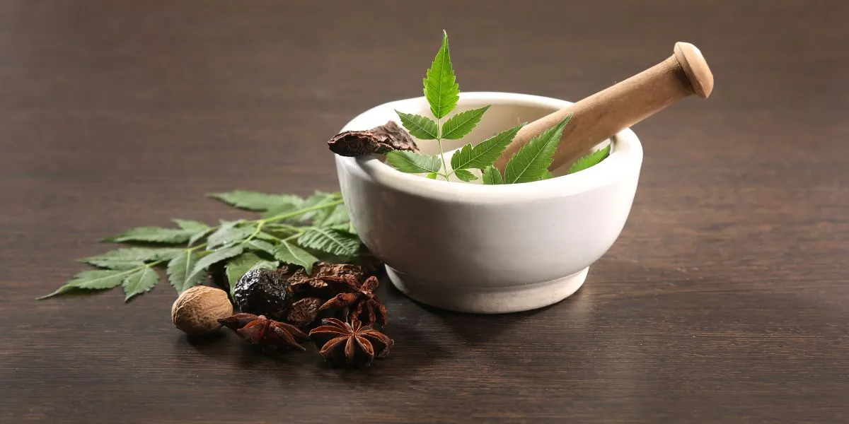 Top 10 Ayurvedic Herbs for Sexual Wellness